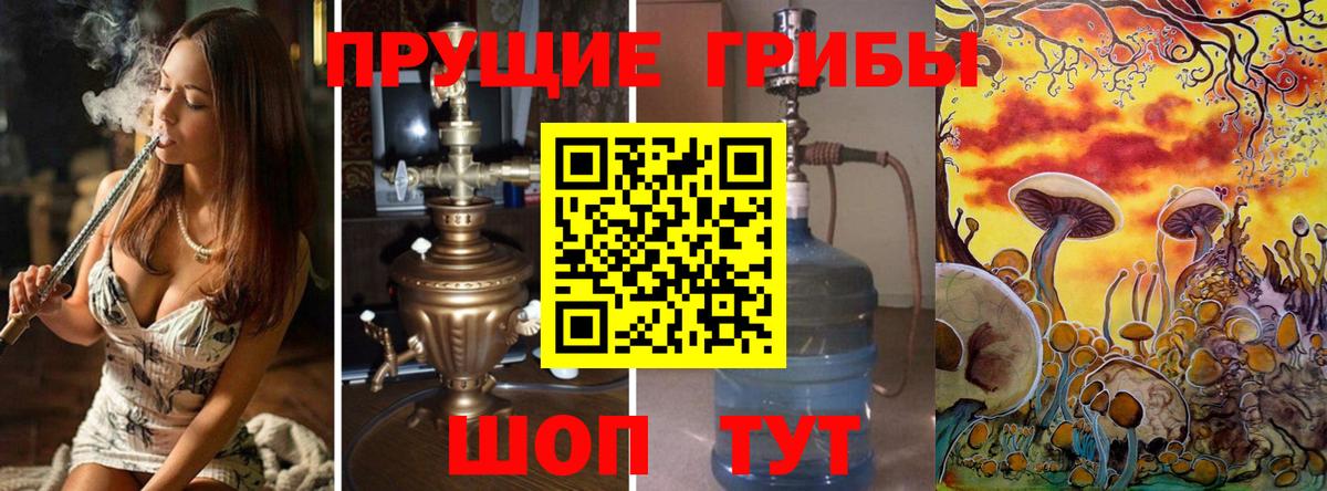 Псилоцибиновые грибы Psilocybe  Псилоцибиновые грибы Psilocybine cubensis  где найти наркотики  Старая Русса  Вход с VPN 